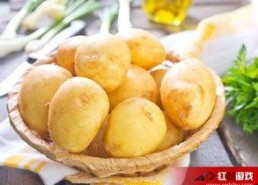 娱乐吃瓜小金土豆,揭秘吃瓜群众背后的土豆人生