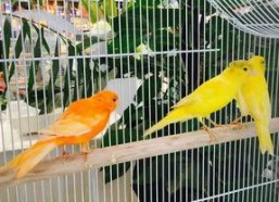 郑州公司吃瓜娱乐,吃瓜娱乐背后的职场生态探秘