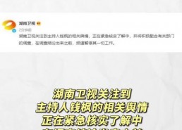 吃瓜娱乐模板,揭秘明星们的“瓜田”奇遇记