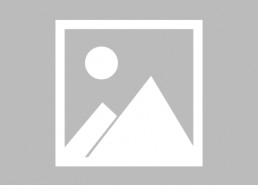 娱乐吃瓜娘娘免费阅读下载